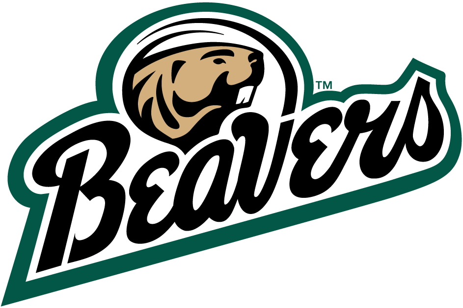 Bemidji State Beavers 2004-Pres Alternate Logo v2 diy DTF decal sticker